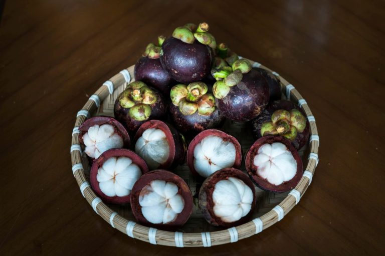 Garcinia cambogia Desr.