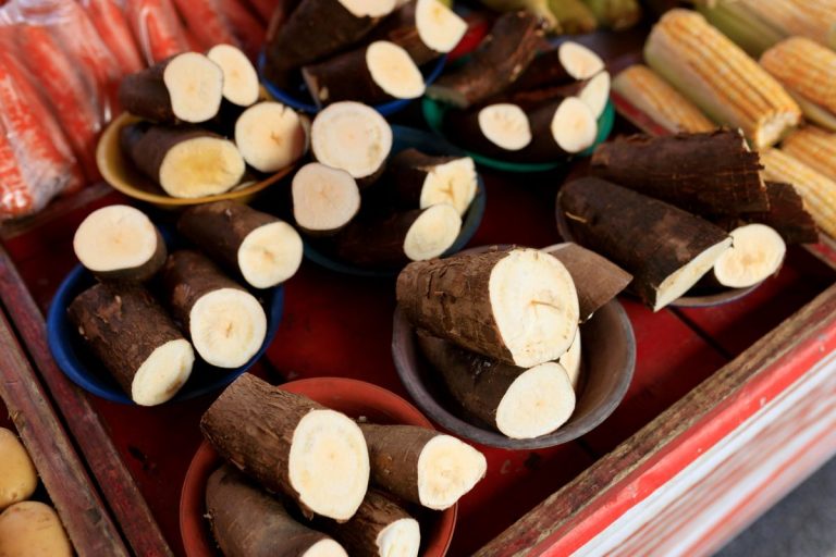 Manioc traité avec un agent d'enrobage