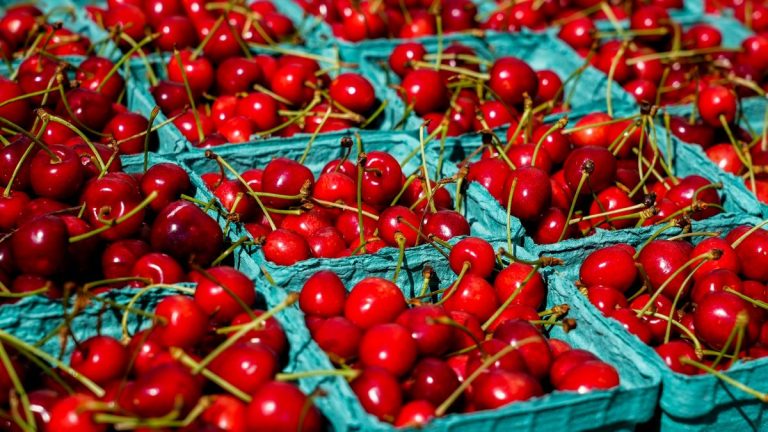 LMR d'esfenvalérate sur les cerises applicable en France