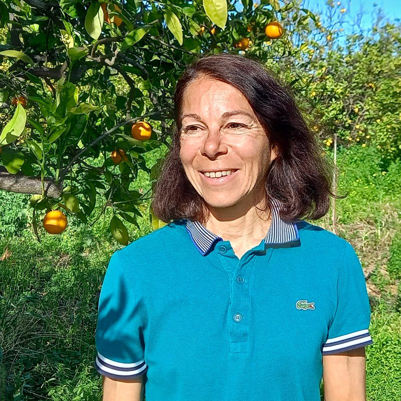 Conseil Claudine Yédikardachian